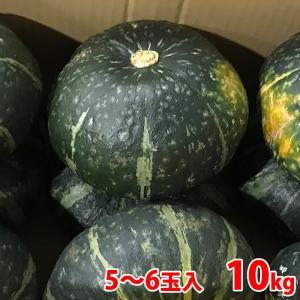 ニュージーランド産　かぼちゃ　4〜7玉入　10kg （箱）｜promart-jp