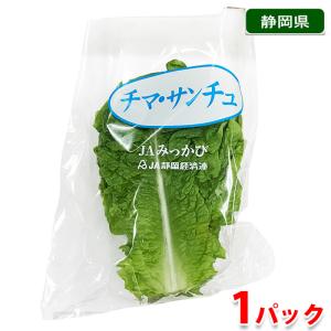 静岡県産　チマ・サンチュ　1パック（約100g）｜promart-jp