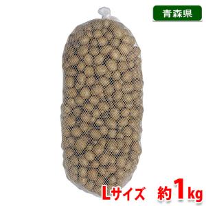 青森県産　むかご　Ｌサイズ　1kg（ネット入り）