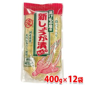 浅井食品　新しょうが漬のもと　400ml×12パック（箱）｜promart-jp