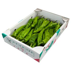 京都府産 万願寺とうがらし 秀品 1kgの詳細画像5