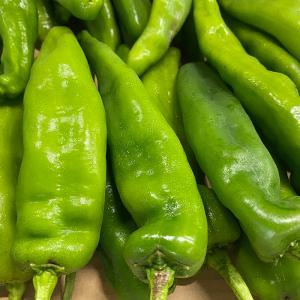 京都府産 万願寺とうがらし 秀品 1kgの詳細画像1