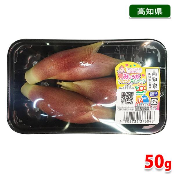 高知県産　みょうが　A等級　Lサイズ　50gパック（3本前後入） ミョウガ 茗荷