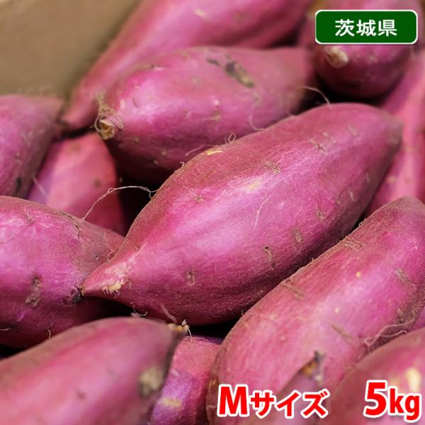 茨城県産（JA茨城旭村）さつまいも　シルクスイート　特秀　Mサイズ　約5kg（20本前後入）箱入り