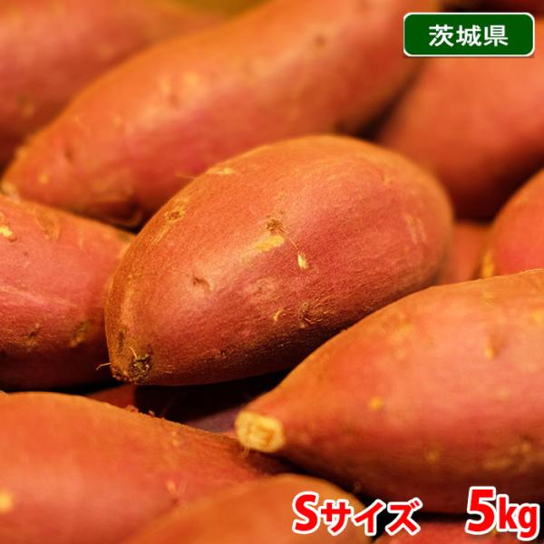 茨城県産（JA茨城旭村）さつまいも　シルクスイート　特秀　Sサイズ　約5kg（33〜35本前後入）箱...
