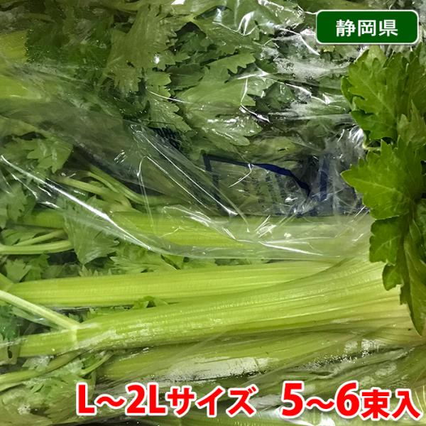 静岡県産他　セルリー （セロリ） L〜2Lサイズ　5〜6束入り　約10kg （箱）
