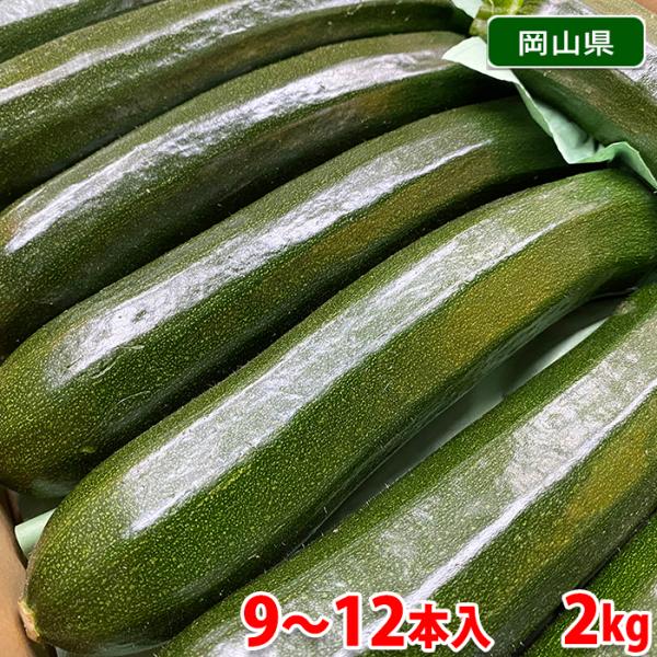 岡山県産　緑色ズッキーニ　2kg（9〜12本入り）箱