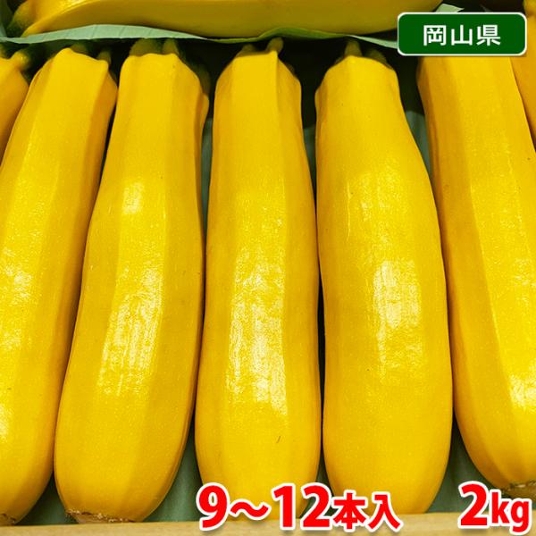 岡山県産　黄色ズッキーニ　2kg（9〜12本入り）箱