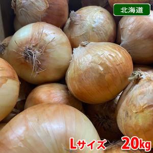 北海道産　玉ねぎ　秀品　Lサイズ　20kg （箱）｜promart-jp