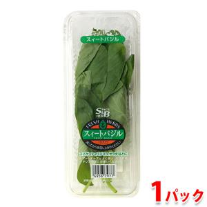 国産　スイートバジル　約25g （パック）｜promart-jp