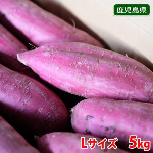 鹿児島県産（かのや）さつまいも　紅はるか　秀品　Lサイズ　約5kg（20本前後入）箱入り