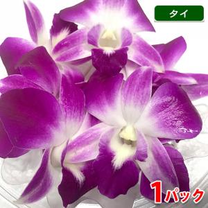 タイ産　デンファレ　飾蘭花　約8個　約40g （パック）