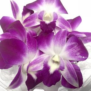 タイ産 デンファレ 飾蘭花 約8個 約40g ...の詳細画像3