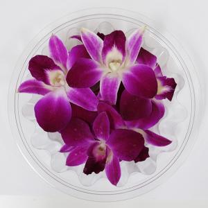タイ産 デンファレ 飾蘭花 約8個 約40g ...の詳細画像4
