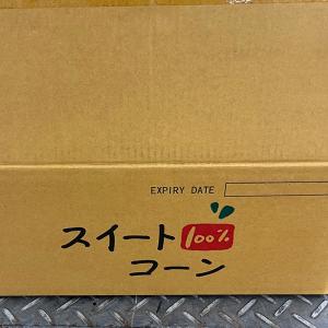 タイ産 とうもろこし 軸付きスイートコーン (...の詳細画像5