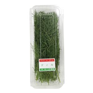 大阪府産他 ディル 約20g (パック) 国産...の詳細画像1