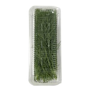 大阪府産他 ディル 約20g (パック) 国産...の詳細画像2
