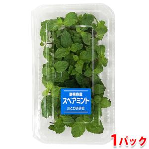 ハーブ 食用 スペアミント1パック レシピ付 フレッシュハーブ ハーブティー ミックス 野菜 サラダ 生 業務用 使い方 ギフト スパイス Fresh006 ハーブ苗のポタジェガーデン 通販 Yahoo ショッピング