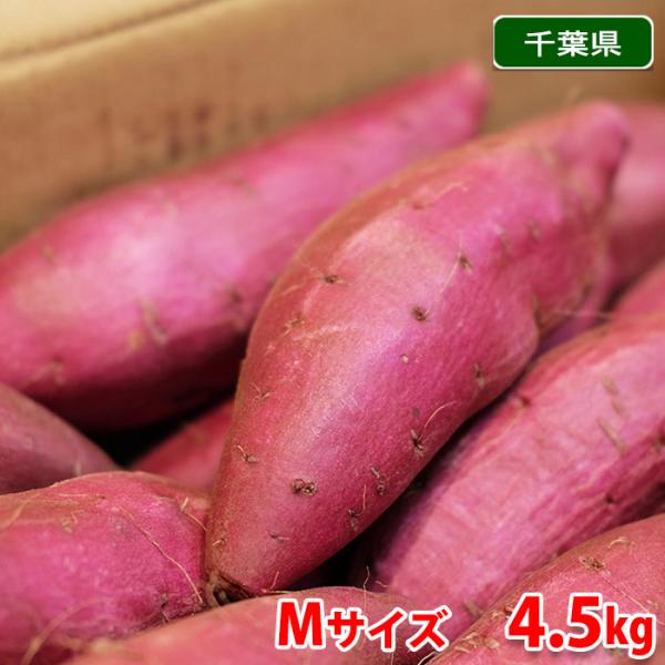 千葉県産（JAかとり）さつまいも　シルクスイート　秀品　Mサイズ　約4.5kg （20本前後入）箱入...