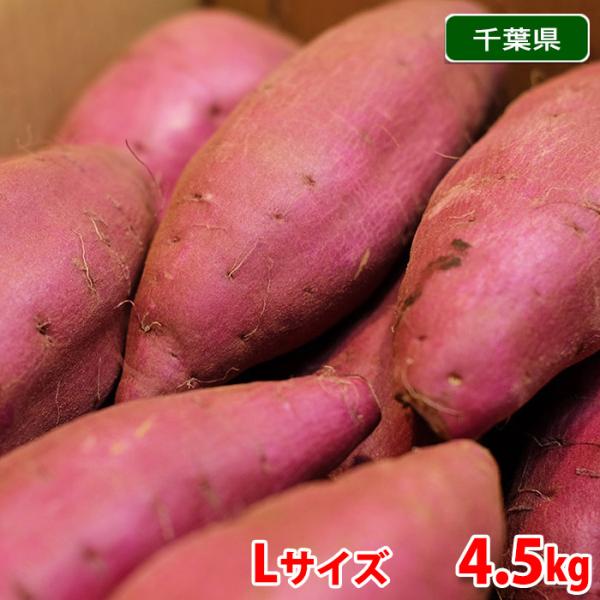 千葉県産（JAかとり）さつまいも　シルクスイート　秀品　Lサイズ　約4.5kg （13本前後入）箱入...