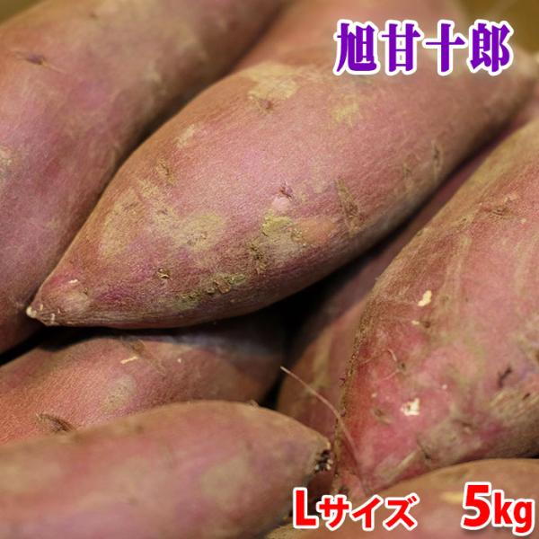 茨城県産（JA茨城旭村）さつまいも　旭甘十郎　シルクスイート　特秀　Lサイズ　約5kg (13〜15...