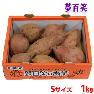 鹿児島県産（夢百笑）種子島さつまいも　蜜芋（安納芋） Sサイズ　約1kg（8本前後入）小箱入り