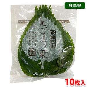 大阪府産 フェンネル 1株 国産 食用 ハーブ : 生鮮卸売市場 - 通販