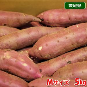 べにはるか 20KG m lサイズ A等級 千葉県産　さつまいも べにはるか 20KG m lサイズ A等級 千葉県産 さつまいも 【公式通販】
