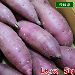 千葉県産（JAかとり）さつまいも 紅はるか 秀品 Mサイズ 約4.5kg（20本