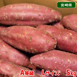 宮崎県産（JA串間市大束）さつまいも　紅まさり　A等級　Lサイズ　約5kg (20本前後入) 箱入り 国産｜promart-jp