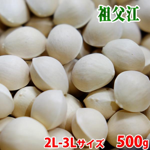 愛知県産　祖父江ぎんなん　藤九郎　2L〜3Lサイズ　500g