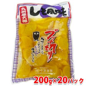 宮崎県産 完全天日干し 切干大根 20g×60パック入 （箱） セット : 生鮮