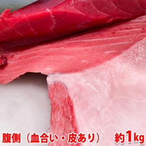 生・本マグロ　大トロ・中トロ・赤身ブロック　約1kg　国産・養殖 （血合い・皮あり） 腹側｜promart-jp