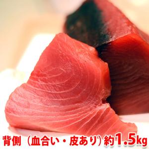 生・本マグロ　中トロ・赤身ブロック　約1.5kg　国産・養殖 （血合い・皮あり） 背側｜promart-jp