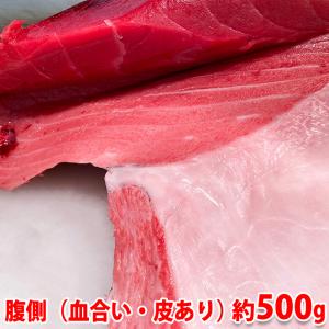 生・本マグロ　大トロ・中トロ・赤身ブロック　約500g　国産・養殖 （血合い・皮あり） 腹側｜promart-jp