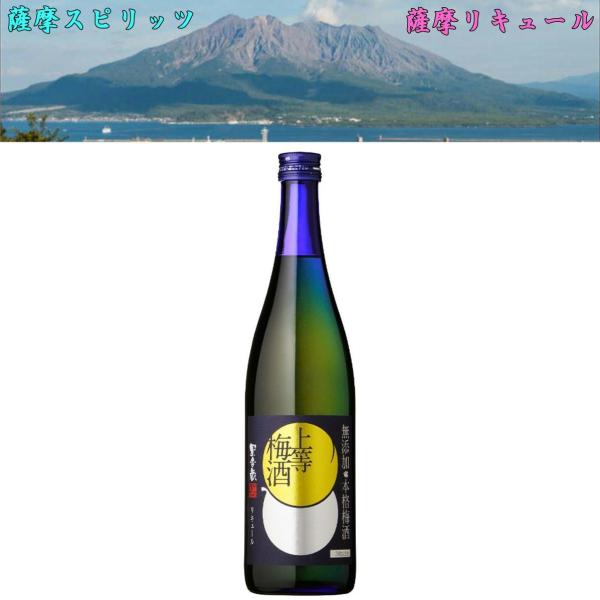 本坊 上等梅酒 14度 720ml リキュール 本坊酒造 鹿児島県 中薩地方