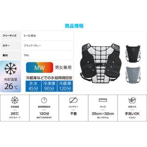 アイスマン PCMベスト ICM-PV-BK ...の詳細画像3