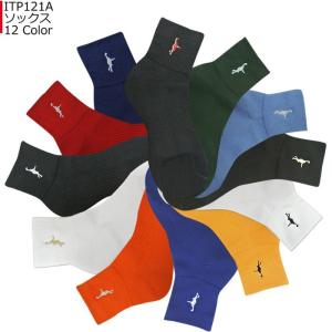 インザペイント INTHEPAINT ソックス ...の商品画像