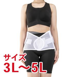 チュアンヌ ダイナクロス 腰サポーター （腰用サポーター 腰痛