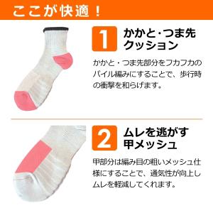 Prono プロノ ミドル丈ボーダー底ソックス...の詳細画像1