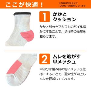 Prono プロノ ミドル丈ボーダー底ソックス...の詳細画像2