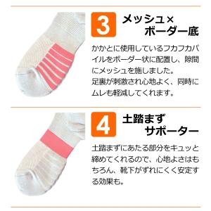 Prono プロノ ミドル丈ボーダー底ソックス...の詳細画像3