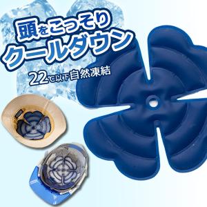 アイスジェルパッド レイカ ＮＥＯ 5501911 頭を冷やす 暑さ対策グッズ 涼しい ヘッドクーラー 冷却シート 建設業 土木工事 農作業 スポーツ ヘルメットインナー