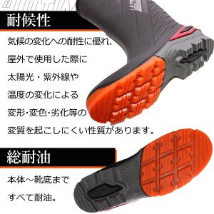 AP BOOTS インジェクション・レインブー...の詳細画像2