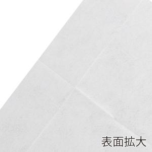 SWAN スワン 不織布 おしぼり 平型 18...の詳細画像2
