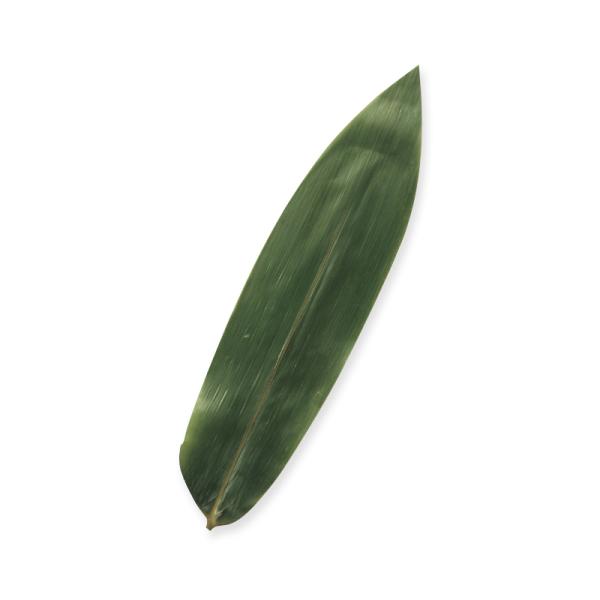 青 笹 100枚 S 料理 飾り 笹の葉 神堂