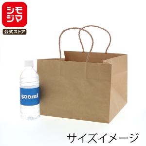 HEIKO（ヘイコー） 紙袋 手提げ紙袋 オブロングバッグ 23-15 未晒無地