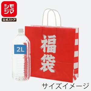 福袋 50枚 紙袋 袋のみ 袋 福袋用 手提げ袋 手提袋 丸紐 福袋対象 食品