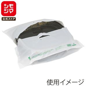 シモジマ パンフレット バッグ 50枚 持ち手 穴 ポリ袋 A4 クリア