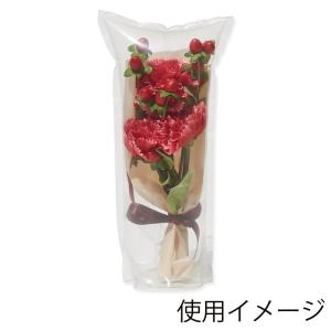 花用 パッケージ 100枚 エアフルール ボトルサイズS シモジマ HEIKO｜propack-kappa1